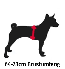 Größe 5